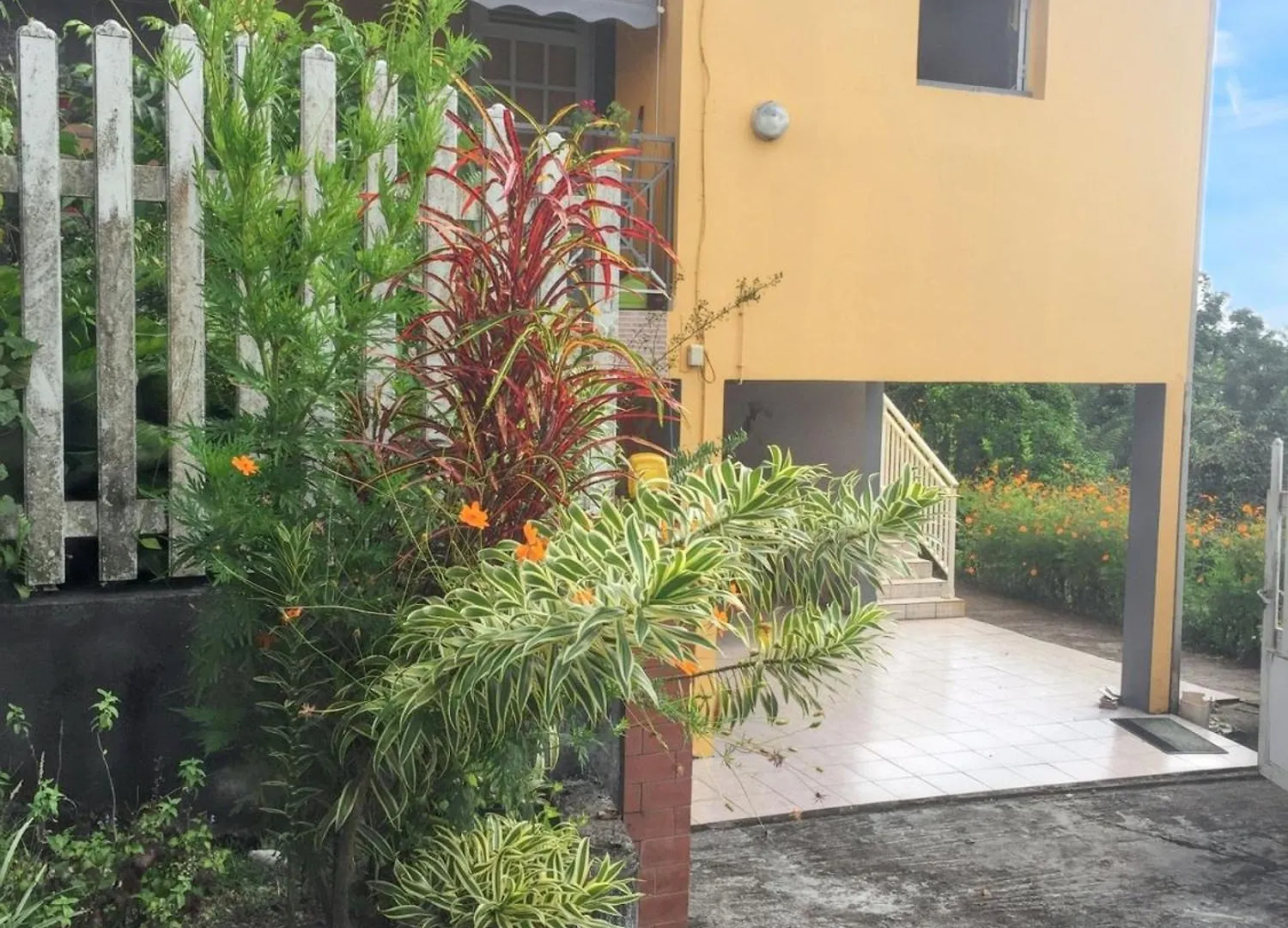 Apartment Studio Charmant Au Coeur De La Trinite 20 M² Avec Jardin Prive Martinique