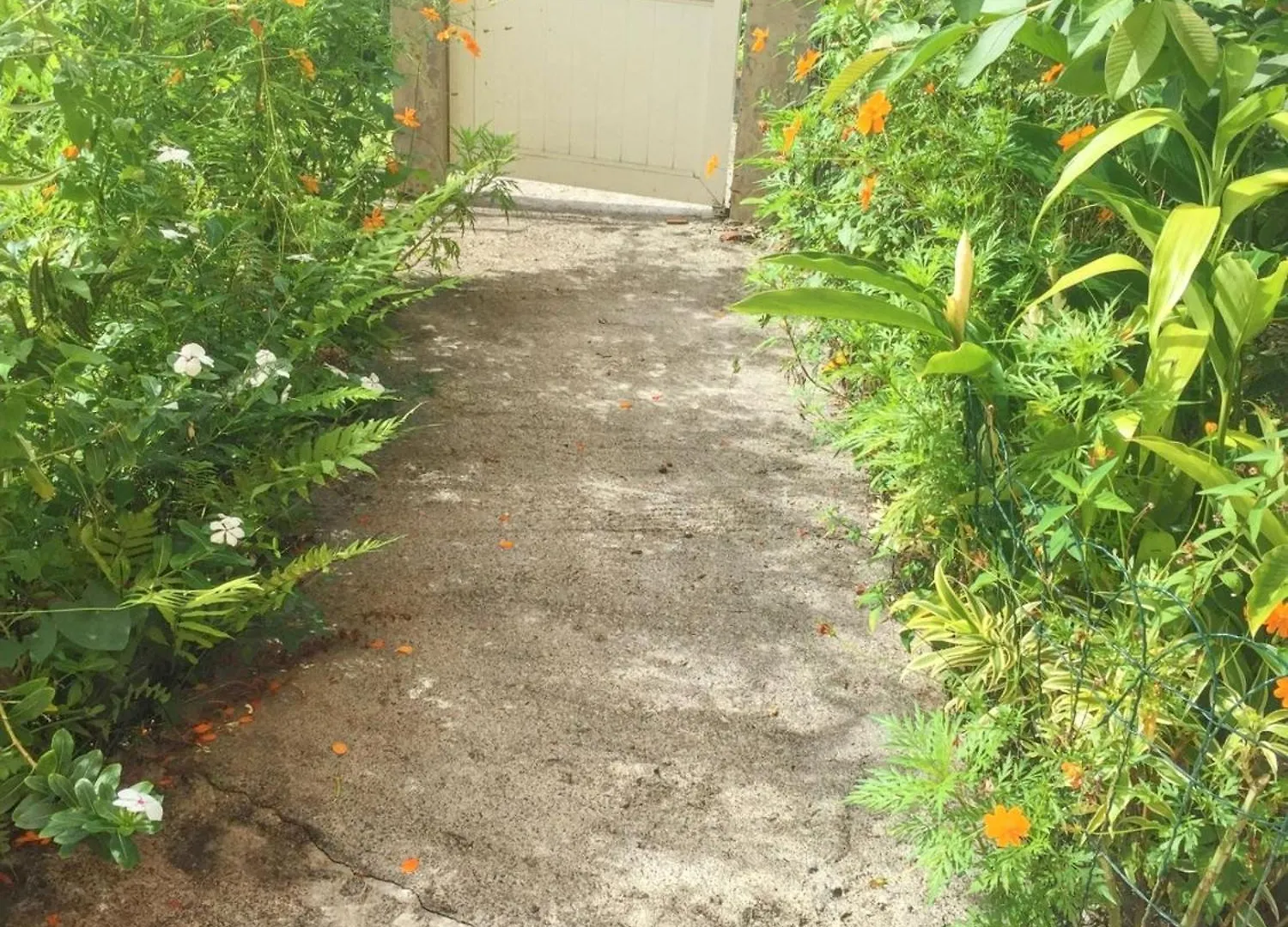 Studio Charmant Au Coeur De La Trinite 20 M² Avec Jardin Prive 0*,